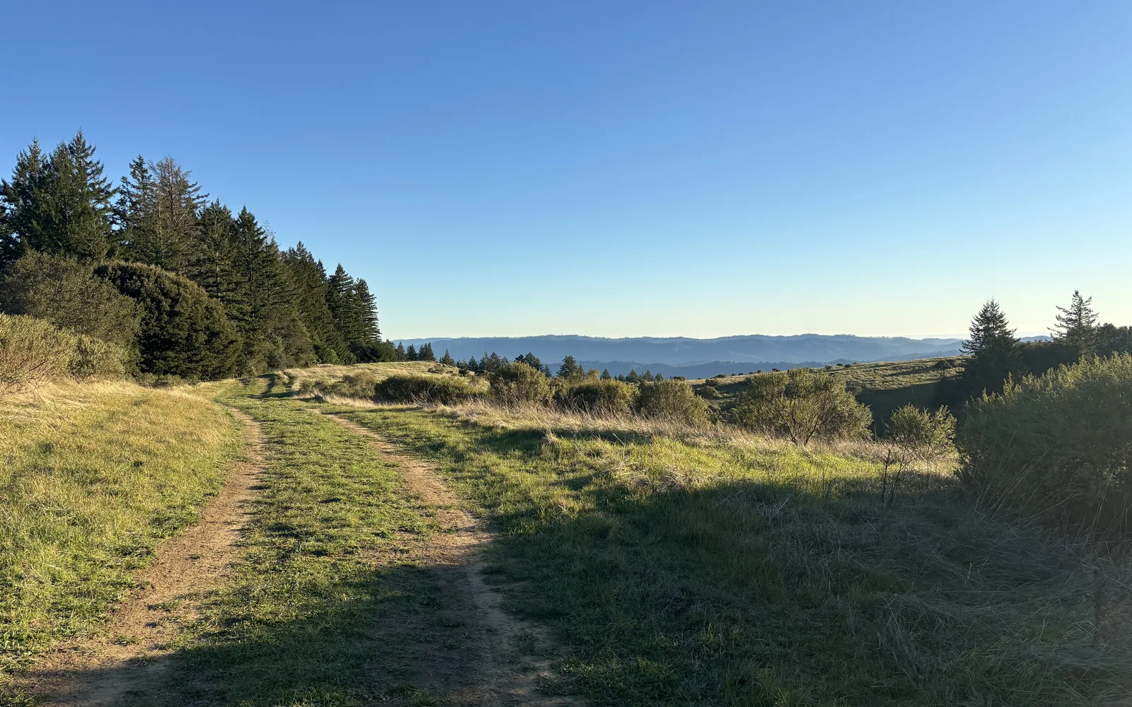 Vista toward Butano Ridge from Upper La Honda Creek open space preserve in San Mateo County